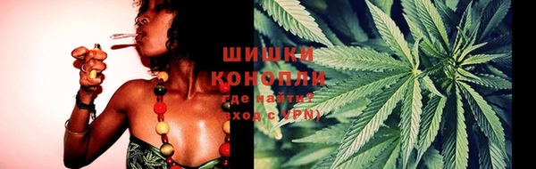 эйфоретик Надым