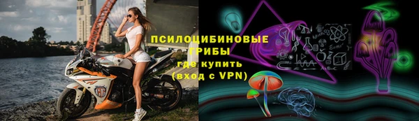 эйфоретик Надым