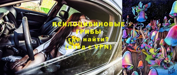 стафф Навашино