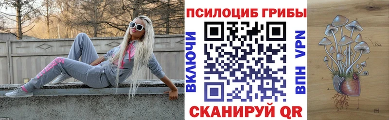 Купить закладки  Наро-Фоминск  Галлюциногенные грибы Cubensis 